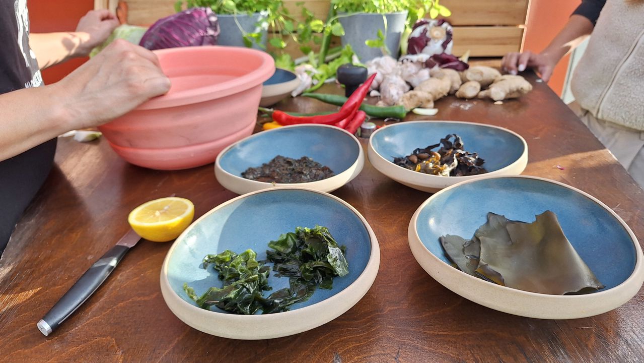 Tallerkener med forskilligt tang