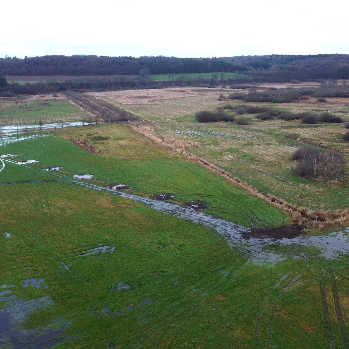 Luftfoto af vådområde
