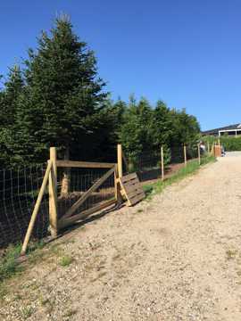 Hundeskoven med hegn