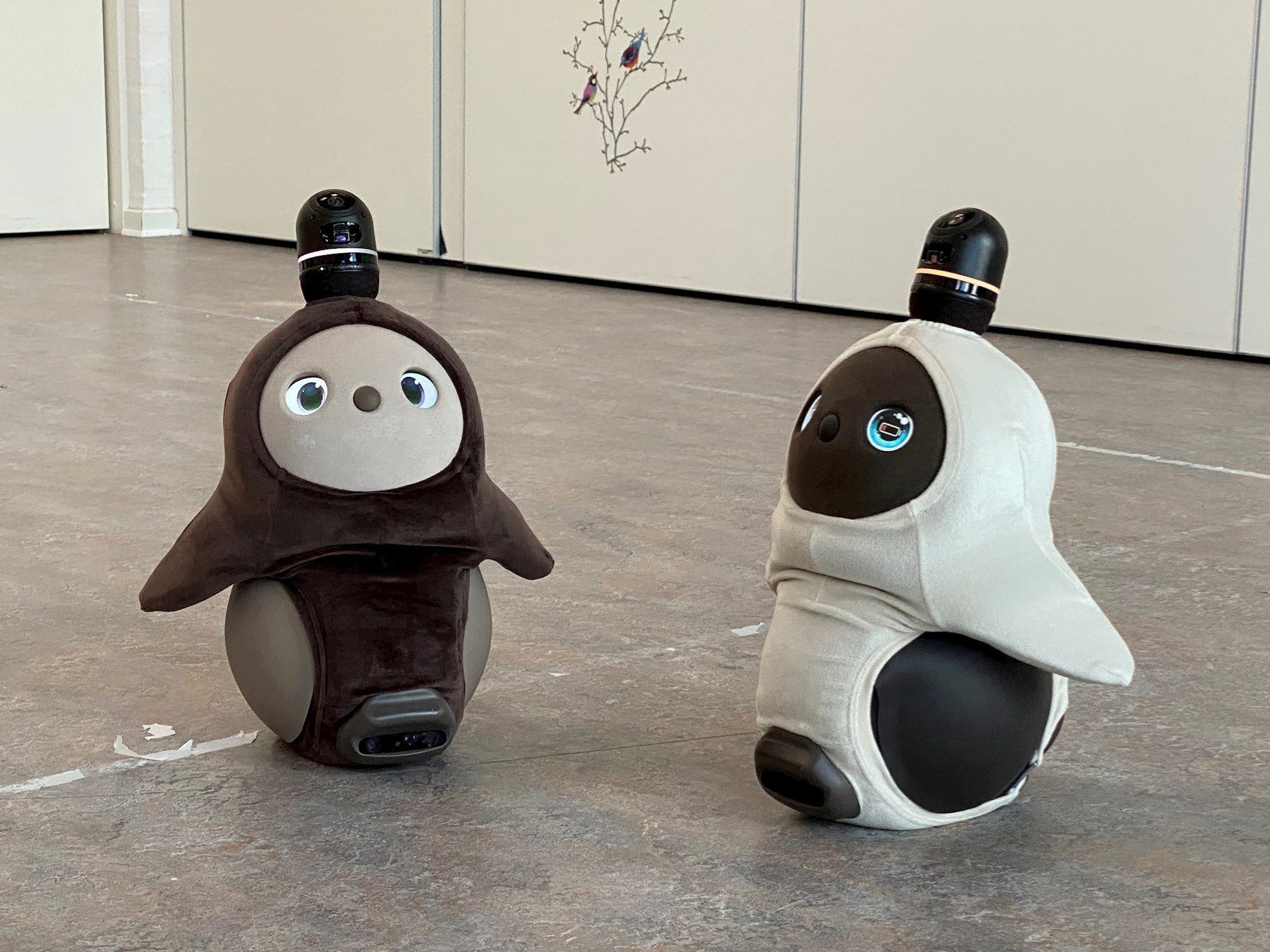 De sociale robotter