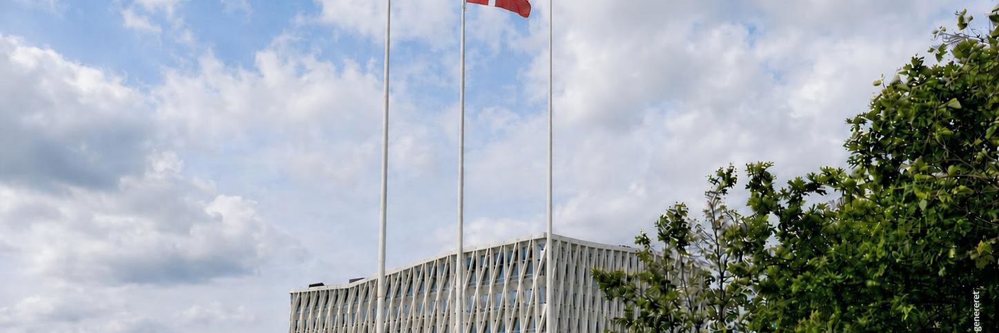 Grønland Danmark Flag Viborg Rådhus