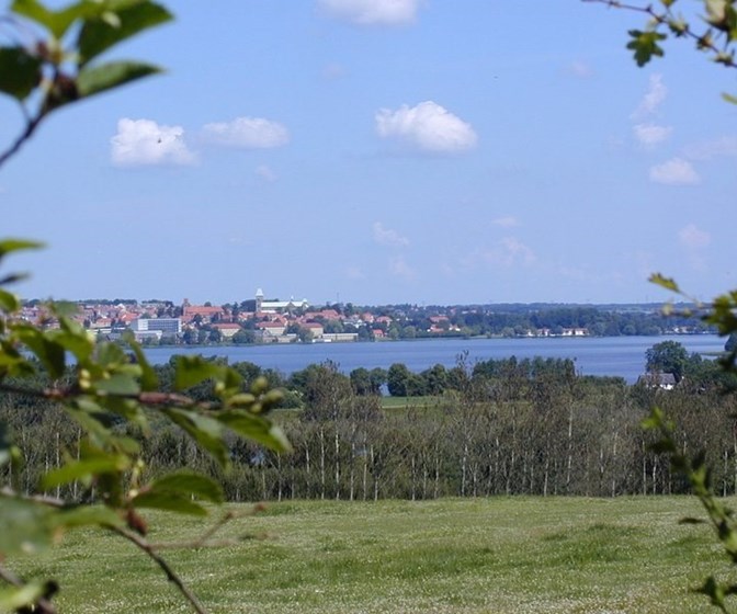 Viborg by set fra sydøst