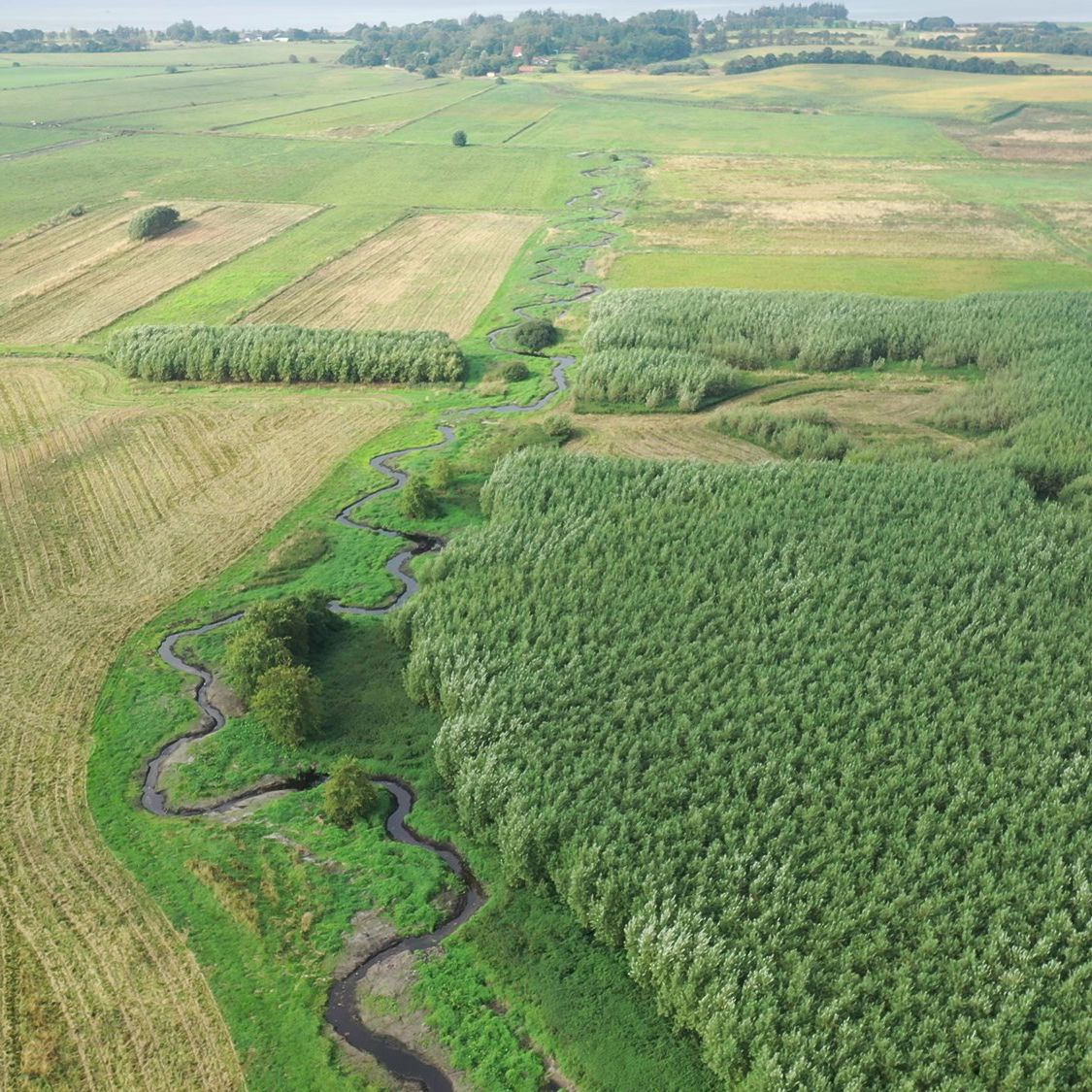 Luftfoto af grønne marker og vandløb