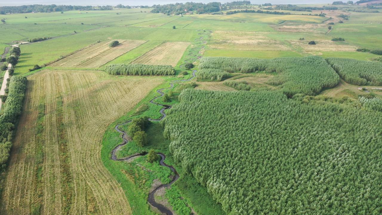 Luftfoto af grønne marker og vandløb