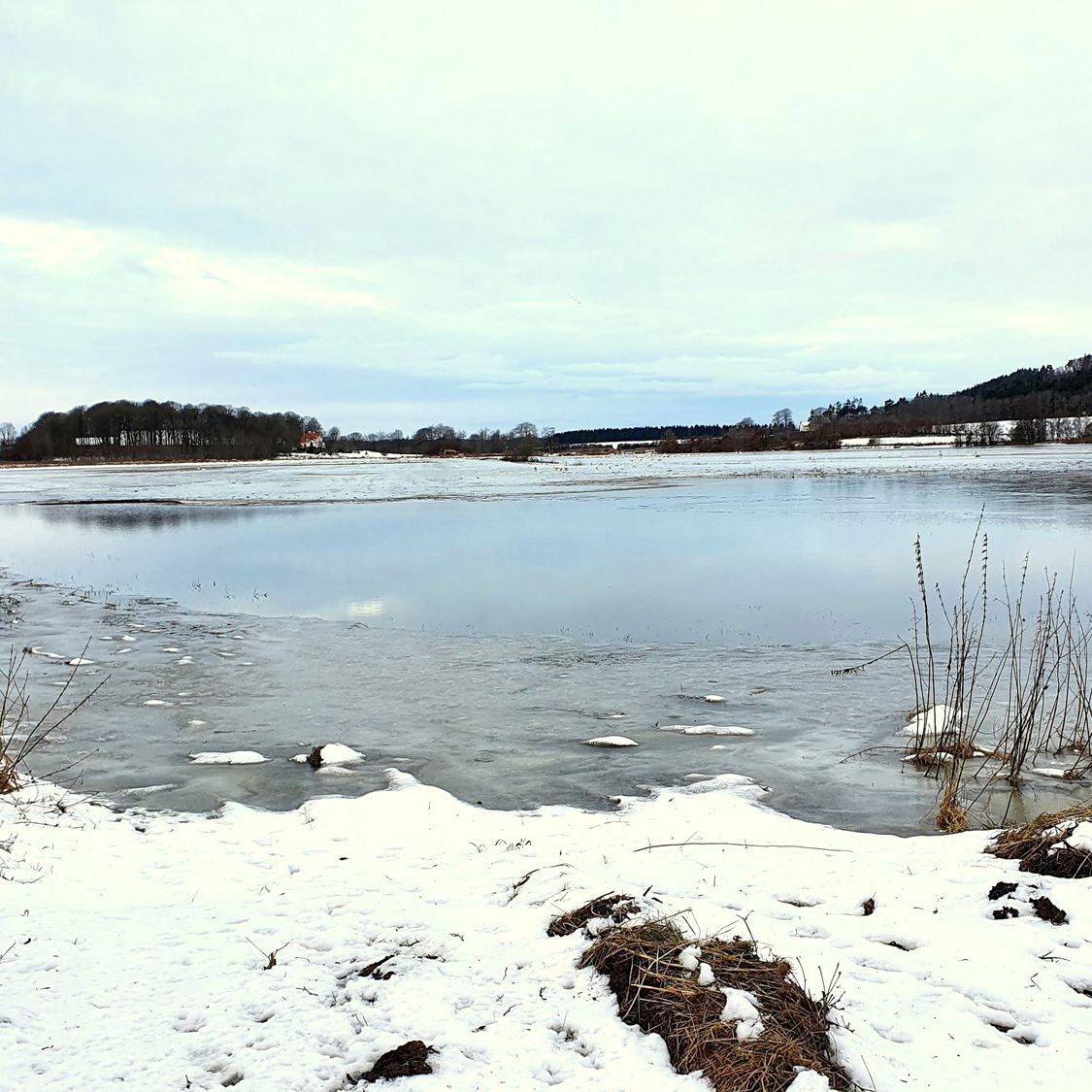 Vinterbillede ud over en sø