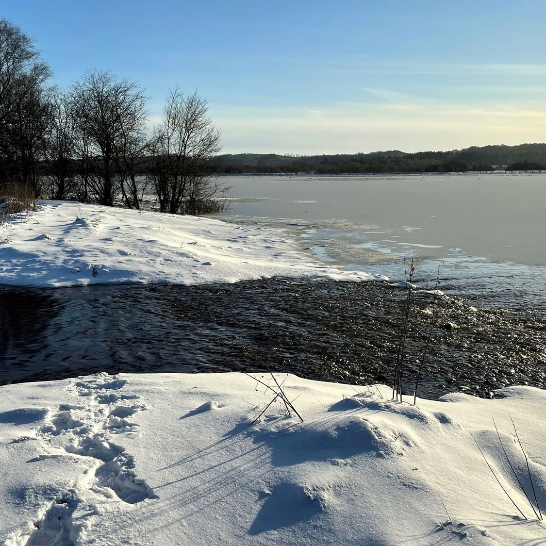 Vinterbillede af et vandløb der løber ud i en sø